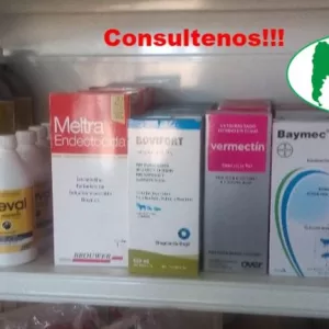 Producto 5 Para perros